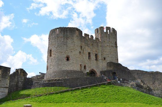 Zoo et château de Dudley